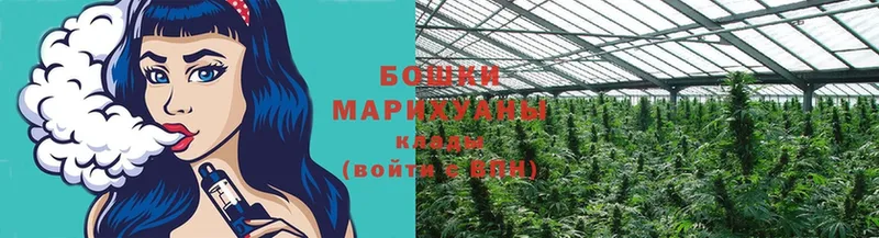 купить наркотики сайты  Кубинка  Канабис LSD WEED 